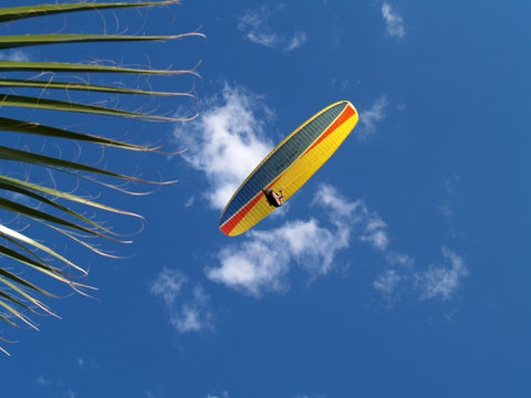 Parashuting Images – Browse 51 Stock Photos, Vectors, and Video | Adobe ...