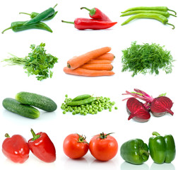 Set of different vegetables isolated on the white background