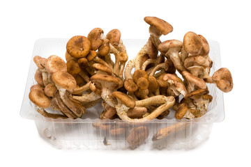 Mushrooms in a plastic box on a white background
