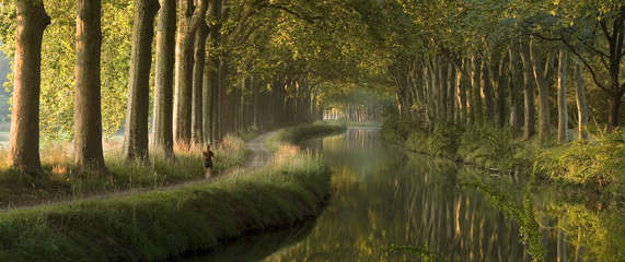 Panoramic scene of Le Canal du Midi, Toulouse - obrazy, fototapety, plakaty