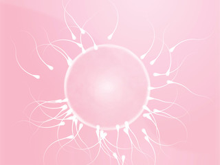 Fototapeta na wymiar Illustration of human egg cell being fertilized by sperm