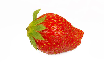 Fragola 24