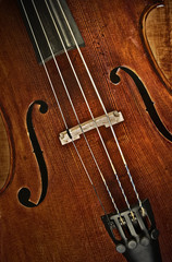 great image of a cello or violin © clearviewstock