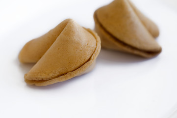 Fortune Cookie