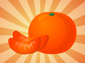 Orange fruit, whole and individual segments, illustration