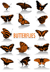 Butterflies silhouettes