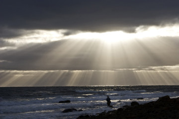 Fishing in the Sun Rays