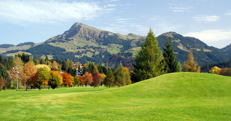 Naklejka premium Grassland and mountains at Kitzbuhel - Austria