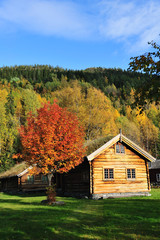 Fototapeta na wymiar An old traditional Norwegian log cabin