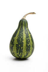 One small pumpkin isolated on white