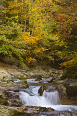 Autumn brook with mini waterfalls flowing in the national park
