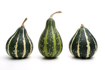 Group of small pumpkin isolated on white