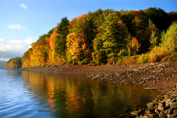 scenic Autumn Landscape