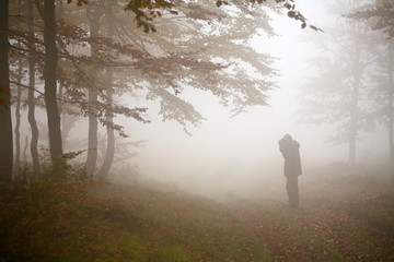 Animage of mist in autumn forest. Autumn theme.