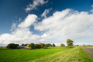 farmland landscape in the netherlands