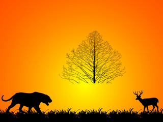 nature illustration