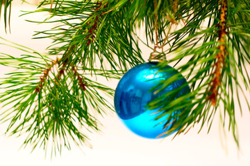 Fototapeta na wymiar Cristmas card with decoration and cristmas-tree