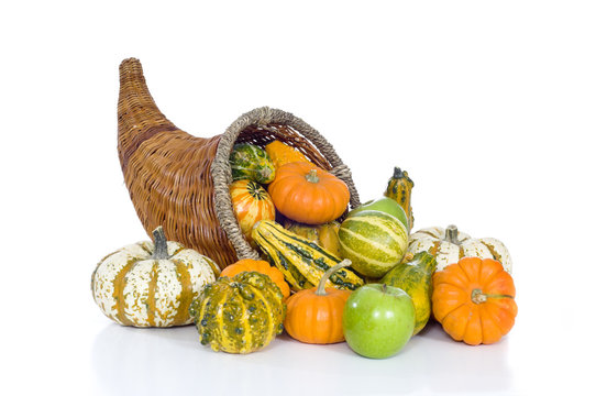 A harvest, autumn or thankgiving cornucopia