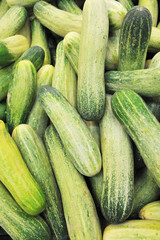 Cucumbers