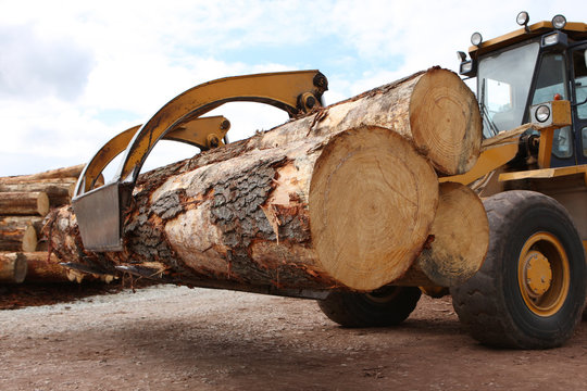 Industrial Grabber Truck Carrying Large Timber Logs