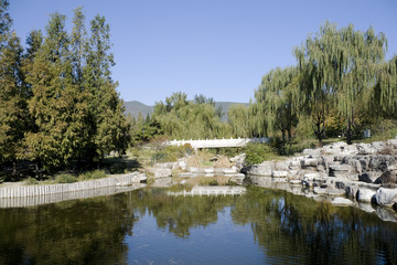 Autumn of scenery in a garden