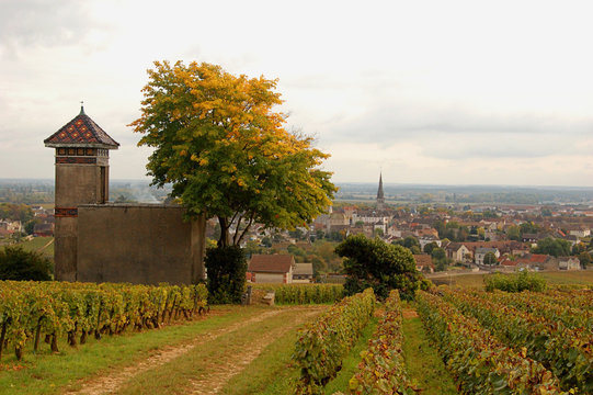 Les Tessons &agrave; Meursault