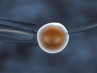3D illustration of an in vitro cloning assay