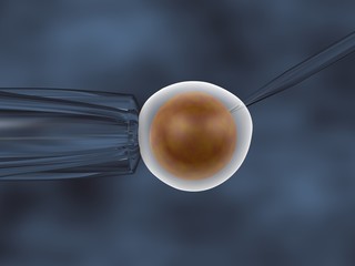 3D illustration of an in vitro cloning assay frontal view
