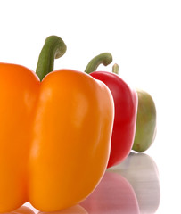 capsicum