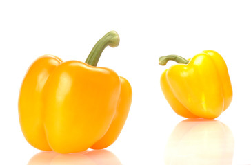 capsicum