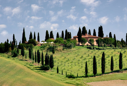 Italy- toscany landscape