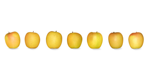 Pommes alignées