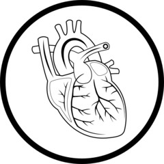 Fototapeta premium Vector heart icon. Black and white. Simply change.