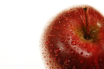 Apple with waterdrops strong backlit shallow DOF...........