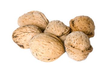 walnuts in a shell on a white background