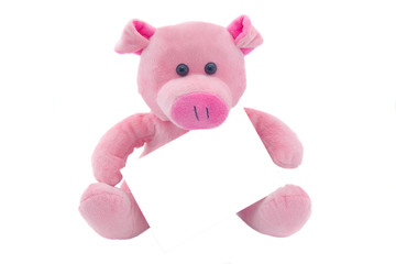 Children's toy a pig with the empty form the isolated