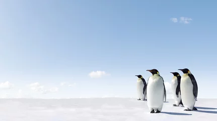 Crédence en verre imprimé Pingouin Manchots empereurs à Antacrctica