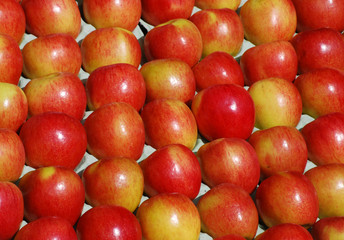 Rows of red apples on market stall