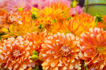 A beautiful bouquet of flowers in a flower market