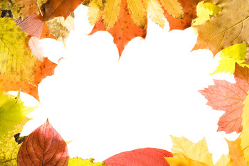 Autumn  leaves frame
