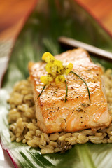 Gourmet Salmon Fillet