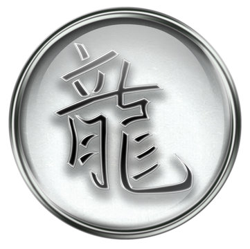 Dragon Zodiac icon grey, isolated on white background.