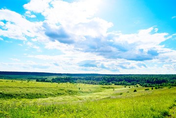 Obraz premium summer landscape field of green grass