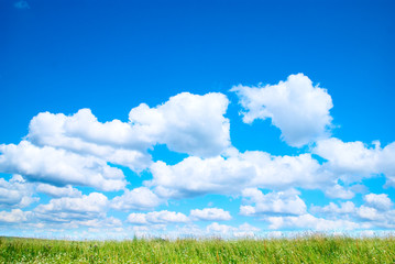 field of grass and perfect sky