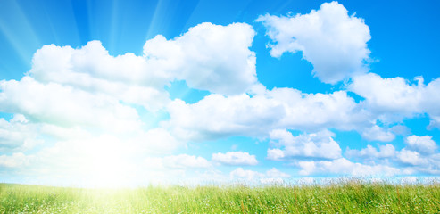 field of grass and sunny summer day