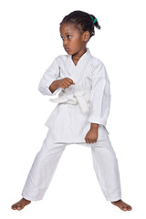 Small karate girl training , isolated on white background © poco_bw
