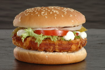 Hamburger