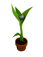 3d image, conceptual environmental, earth seed