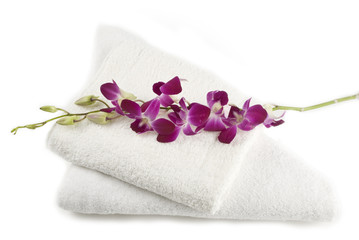 Obraz na płótnie Canvas Różowa orchidea na białym ręczniki