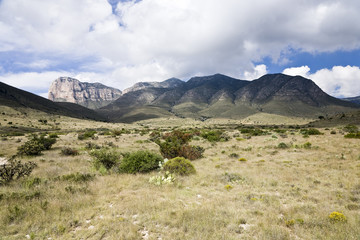Guadalupe Mountains